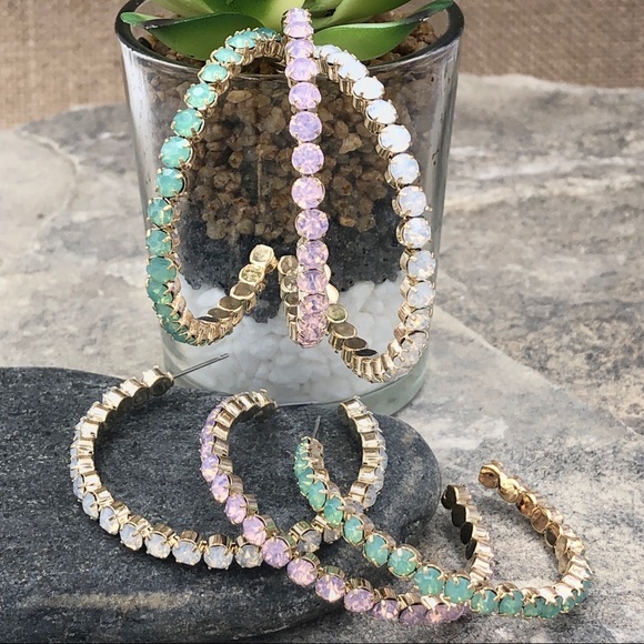 🌼 Single Row Rhinestone Hoop Earrings - Picture 1 of 4